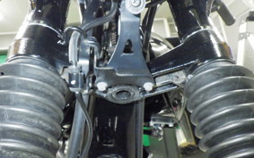 KAWASAKI W800-2ｽﾄﾘｰﾄ 2021 EJ800E