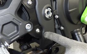KAWASAKI ZX-4RR 2025 ZX400P