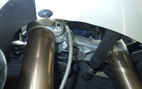 TRIUMPH DAYTONA 675 2009
