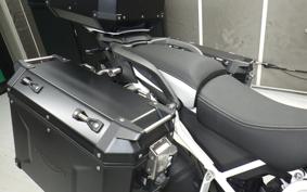 TRIUMPH TIGER 900 RALLY PRO 2022