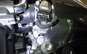 HONDA CB1300SF SUPER FOUR SP 2024 SC54