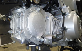 HONDA CROSS CUB 110 2009 JA60