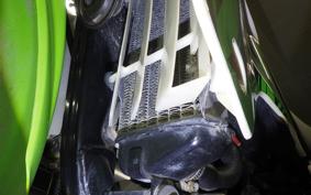 KAWASAKI KDX220SR 2019 DX220B