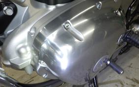 KAWASAKI W800 2024 EJ800E