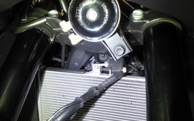 YAMAHA YZF R-3 2024 RH21J