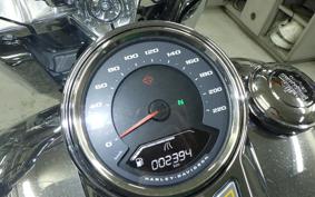 HARLEY FLSTFI1920 2025