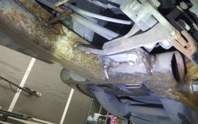 SUZUKI ADDRESS V125 G 2007 CF46A