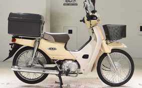 HONDA C110 SUPER CUB 2013 JA10