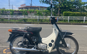 SUZUKI BIRDIE80 BC41A