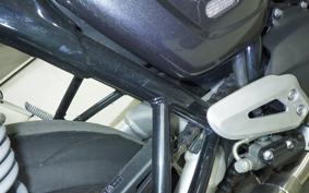 TRIUMPH SPEED TWIN 2024