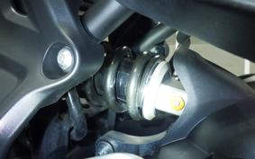 YAMAHA MT-07 2024 RM33J