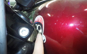 HARLEY XL883N 2017