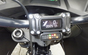 HARLEY FXLRST1920 2025