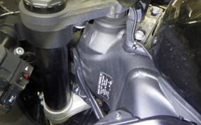 KAWASAKI NINJA ZX-6R A 2020 ZX636G
