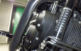 HARLEY XL883N 2021