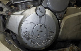 KAWASAKI SUPER SHERPA 2005 KL250G