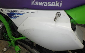 KAWASAKI KLX250 Gen.2 2019 LX250S