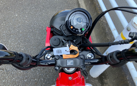 HONDA CT125 HUNTER  CUB  JA55