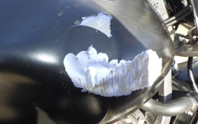 HONDA HORNET 250 MC31