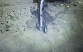 HUSQVARNA SVARTPILEN 401 2022