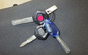 YAMAHA TENERE 700 2025 DM13J