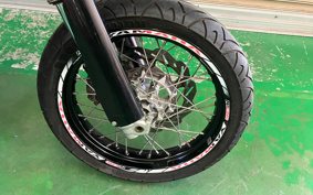 YAMAHA WR250X DG15J