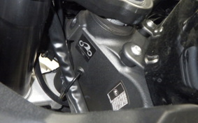 KAWASAKI NINJA 1000 SX 2024 ZXT02K