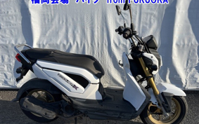 OTHER ZOOMERX