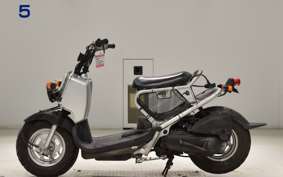 HONDA ZOOMER 2006 AF58