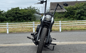HARLEY FXBB 2020 YJJ