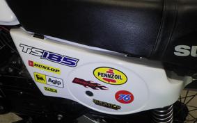 SUZUKI TS185 2024