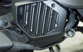 HONDA TACT Basket 2015 AF79