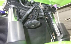 KAWASAKI ZRX1200 D 2017 ZRT20D