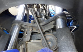 KAWASAKI NINJA 250R 2001 EX250K