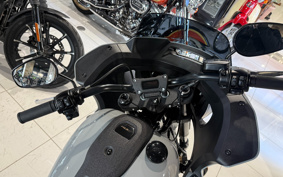 HARLEY FXLRST 2025 YXZ