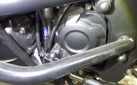 KAWASAKI ZX 1400 NINJA R A 2014
