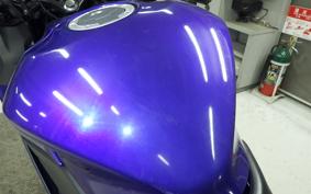 YAMAHA YZF R-3 2024 RH21J