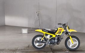 YAMAHA PW50 36E