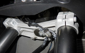 KAWASAKI NINJA 1000SX 2020 ZXT02K