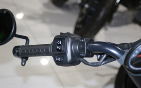 HARLEY  HARLEY RH975 NIGHT  STAR  2023 ZH1