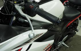 YAMAHA YZF-R25 2015 RG10J