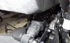 KAWASAKI ZX-4R SE 2024 ZX400P