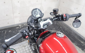 TRIUMPH SPEED TWIN 900 2024 DAD74G