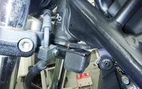 HONDA REBEL 250 2021 MC49