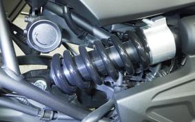 KAWASAKI VERSYS A 2024 LE650H