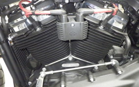 HARLEY FXFB1750 2020