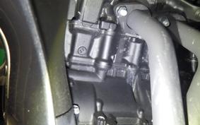 YAMAHA YZF R-3 2025 RH21J