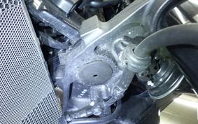 KAWASAKI Z900RS 2021 ZR900C