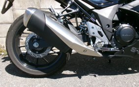 SUZUKI GSX250 R DN11A