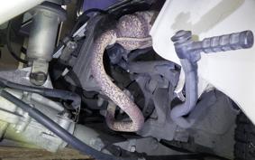 HONDA GYRO CANOPY TA03